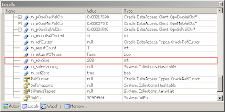 Image of m_rowSize in debugger