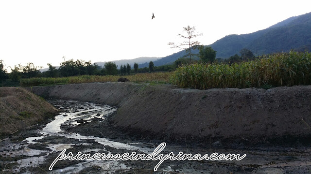 dried river