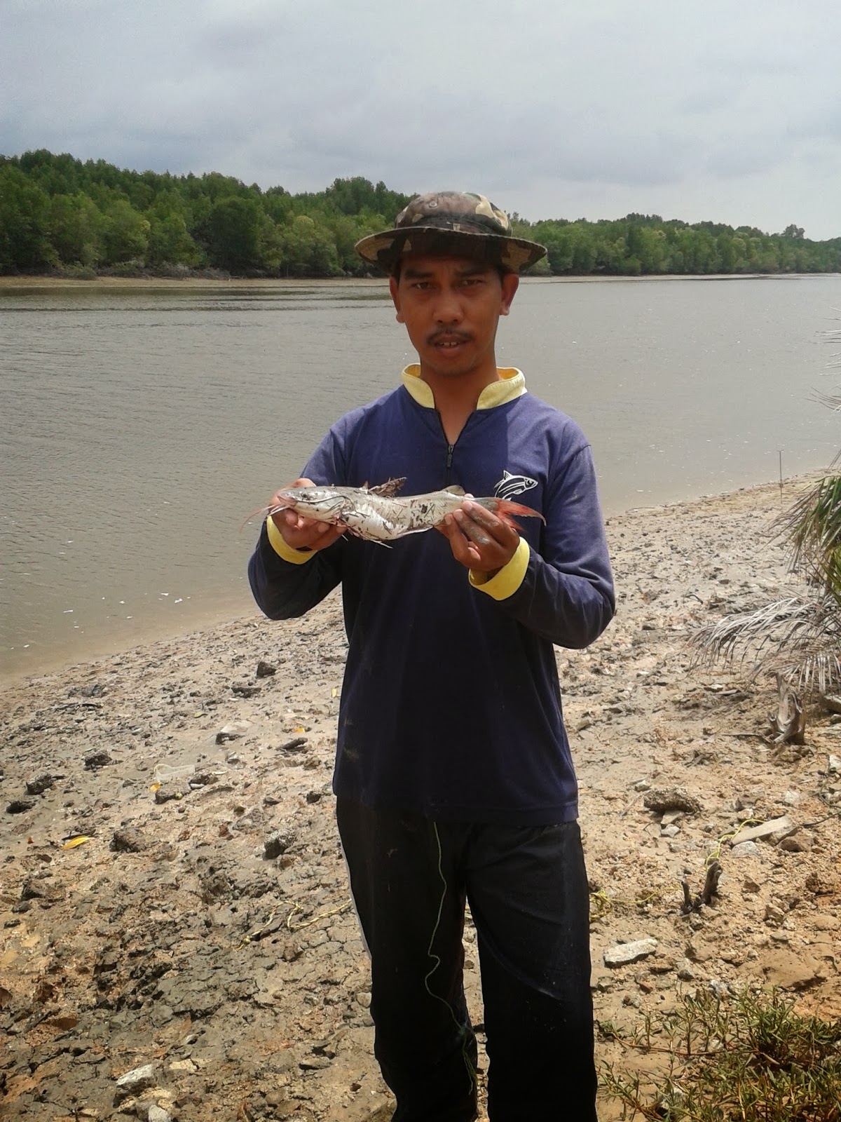 Kail sejengkal: MENDUGA LUBUK IKAN DURI