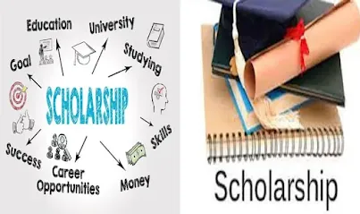 What Are Scholarships: A Comprehensive Guide to Unlocking Educational Opportunities