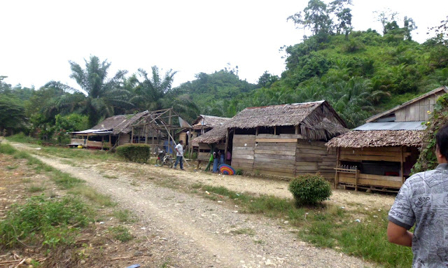 Perkampungan suku adat Bunggu di Dusun Salu Raiya, Kab. Pasangkayu