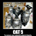 Cat 5 Meme