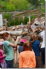 Zoo6
