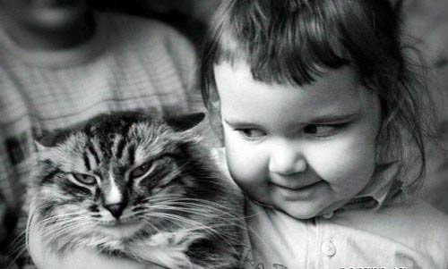 Hài hước trẻ em với Mèo