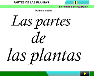 http://cplosangeles.juntaextremadura.net/web/edilim/curso_2/cmedio/plantas02/partes_planta02/partes_planta02.html