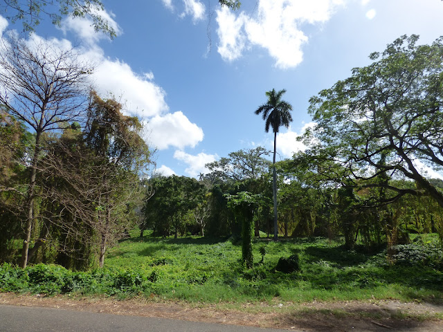 Parque Almendares, Havana, Cuba