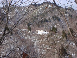 岐阜県の三柱鳥居peak1012