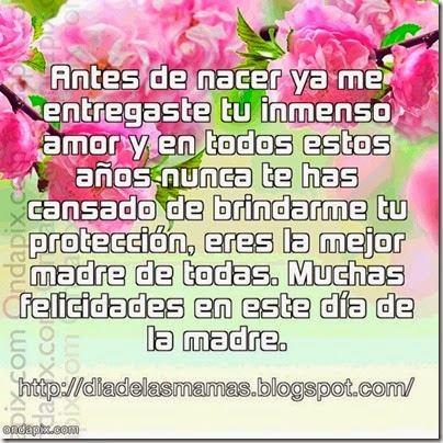 proteccion