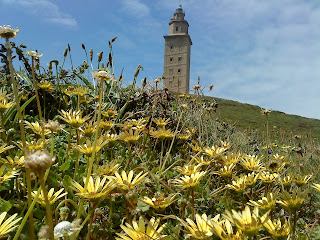 Flower and Tower   Sprint in Tower of Hercules (Corunna, Spain)   by E.V.Pita   http://evpita.blogspot.com/2011/05/flower-and-tower-flores-torre-de.html   Flores + Torre de Hércules  (Primavera en Torre de Hércules, A Coruña)  por E.V.Pita