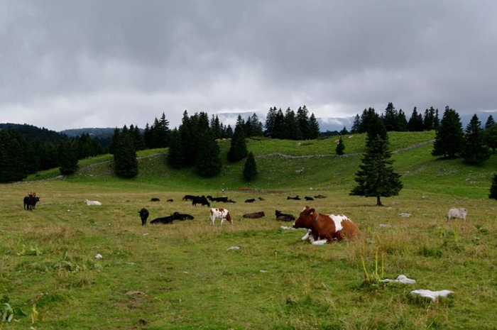 IMGP1657