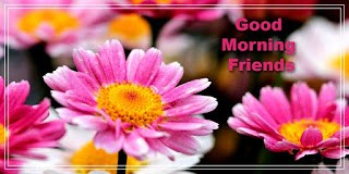 good-morning-my-friend-images,-good-morning-dear-friend-images,-good-morning-my-friend-gif,-funny-good-morning-images-for-friends,-good-morning-i-hope-you-have-a-wonderful-day,-good-morning-my-dear-friend-images,-good-morning-images-for-best-friend,-good-morning-messages-for-friends-with-pictures,-good-morning-blessings-friends,-good-morning-pictures-for-friends,-good-morning-my-sweet-friend-images,-funny-good-morning-images-for-him,-good-morning-family-and-friends-happy-wednesday,-happy-thursday-friends-images,-morning-friends-images,-good-morning-beautiful-friend-images,-good-morning-friends-happy-friday,-friend-good-morning-photo,-good-morning-my-best-friend-images,-good-morning-family-and-friends-images,-good-morning-thoughts-for-friends,-good-morning-images-for-girlfriend,-good-morning-friends-pic,-good-morning-sunday-friend,-good-morning-images-with-quotes-for-friends,-friend-love-good-morning-images,-good-morning-sweet-friend-images,-good-morning-friends-happy-sunday,-good-morning-images-for-friends-cute,-good-morning-friend-blessings,-good-morning-my-beautiful-friend-images,-good-morning-my-friend-pictures-images-and-photos,-good-morning-special-friend-images,-happy-saturday-friends-images,-happy-tuesday-friends-images,-sunday-morning-wishes-for-friends,-good-morning-messages-for-family-and-friends,-good-morning-friends-happy-saturday,-good-morning-friends-images-with-quotes,-good-morning-friends-happy-thursday,-good-morning-friends-happy-tuesday,-,-good-morning-friends-photo,-good-morning-friends-images-download,-best-friend-good-morning-images,-good-morning-images-in-marathi-for-friends,-beautiful-good-morning-friends-images,-beautiful-images-of-good-morning-friends,-cute-funny-good-morning-images-for-friends,-cute-good-morning-friends-images,-download-good-morning-friends-images,-download-images-with-quotes-of-wishing-good-morning-to-friends,-free-good-morning-friends-images,-friends-inspirational-good-morning-images-with-quotes,-funny-good-morning-friends-images,-garden-of-friends-good-morning-images,-good-morning-all-friends-hd-images,-good-morning-all-friends-images,-good-morning-all-my-friends-images,-good-morning-all-of-you-friends-images,-good-morning-and-good-night-images-for-friends,-good-morning-blessings-friends-images,-good-morning-crazy-friends-images,-good-morning-family-and-friends-images-and-quotes,-good-morning-family-and-friends-quotes-and-images,-good-morning-friends-&-family-images,-good-morning-friends-and-family-happy-saturday-quotes-images,-good-morning-friends-animated-images,-good-morning-friends-baby-images,-good-morning-friends-beautiful-images,-good-morning-friends-cartoon-images,-good-morning-friends-christmas-images,-good-morning-friends-coffee-images,-good-morning-friends-coffee-pics,-good-morning-friends-cute-images,-good-morning-friends-flowers-images,-good-morning-friends-forever-images,-good-morning-friends-friday-images,-good-morning-friends-full-hd-images,-good-morning-friends-funny-images,-good-morning-friends-funny-pics,-good-morning-friends-happy-monday-images,-good-morning-friends-happy-monday-images-flowers,-good-morning-friends-happy-saturday-images,-good-morning-friends-happy-sunday-images,-good-morning-friends-happy-thursday-images,-good-morning-friends-happy-tuesday-images,-good-morning-friends-happy-wednesday-images,-good-morning-friends-have-a-nice-day-images,-good-morning-friends-hd-photos-download,-good-morning-friends-heart-images,-good-morning-friends-images,-good-morning-friends-images-download-hd,-good-morning-friends-images-for-facebook,-good-morning-friends-images-for-whatsapp,-good-morning-friends-images-for-whatsapp-free-download,-good-morning-friends-images-free-download,-good-morning-friends-images-gif,-good-morning-friends-images-hd,-good-morning-friends-images-hd-download,-good-morning-friends-images-in-hd,-good-morning-friends-images-joy,-good-morning-friends-images-jpg,-good-morning-friends-images-quotes,-good-morning-friends-images-share-chat,-good-morning-friends-images-shayari,-good-morning-friends-images-with-flowers,-good-morning-friends-images-zip,-good-morning-friends-images-zoom,-good-morning-friends-images-zoom-meeting,-good-morning-friends-inspirational-images,-good-morning-friends-latest-images,-good-morning-friends-love-images,-good-morning-friends-monday-images,-good-morning-friends-nature-images,-good-morning-friends-new-images,-good-morning-friends-photos,-good-morning-friends-photos-download,-good-morning-friends-photos-hd,-good-morning-friends-photos-hd-download,-good-morning-friends-photos-new,-good-morning-friends-pic-hd,-good-morning-friends-pictures-download,-good-morning-friends-quotes-and-images,-good-morning-friends-quotes-and-pictures-for-facebook,-good-morning-friends-quotes-images-in-telugu,-good-morning-friends-quotes-pics,-good-morning-friends-rain-images,-good-morning-friends-rose-images,-good-morning-friends-sad-images,-good-morning-friends-saturday-images,-good-morning-friends-sunday-images,-good-morning-friends-tea-images,-good-morning-friends-telugu-photos,-good-morning-friends-thursday-images,-good-morning-friends-tuesday-images,-good-morning-friends-wednesday-images,-good-morning-friends-winter-images,-good-morning-friends-wishes-images,-good-morning-friends-with-images,-good-morning-friends-with-pictures,-good-morning-gif-images-for-friends,-good-morning-good-friends-images,-good-morning-greetings-friends-images,-good-morning-group-friends-images,-good-morning-i-love-my-facebook-friends-images,-good-morning-images-about-friends,-good-morning-images-and-quotes-for-friends,-good-morning-images-download-for-whatsapp-lover-friends,-good-morning-images-for-childhood-friend,-good-morning-images-for-friends,-good-morning-images-for-friends-cute-gif,-good-morning-images-for-friends-free-download,-good-morning-images-for-friends-hd,-good-morning-images-for-friends-in-english,-good-morning-images-for-friends-with-tea,-good-morning-images-for-my-lovely-friend,-good-morning-images-friends-shayari,-good-morning-images-in-friends,-good-morning-images-to-friends-group,-good-morning-images-with-friends,-good-morning-images-with-inspirational-quotes-for-friends,-good-morning-messages-for-friends-with-images,-good-morning-my-beautiful-friends-images,-good-morning-my-family-and-friends-images,-good-morning-my-friend-hd-images,-good-morning-my-friend-images-download,-good-morning-my-friends-happy-sunday-images,-good-morning-pic-friends-ke-liye,-good-morning-prayer-images-for-friends,-good-morning-quotes-for-friends-comments-images-in-english,-good-morning-saturday-family-and-friends-images,-good-morning-saturday-friends-images,-good-morning-school-friends-images,-good-morning-to-all-friends-images,-good-morning-to-friends-images,-good-morning-tuesday-friends-images,-good-morning-wednesday-friends-images,-good-morning-wishes-images-friend-download,-good-morning-wishes-to-friends-images,-good-morning-with-friends-images,-good-morning-yoga-images-for-friends,-good-sunday-morning-family-and-friends-images,-happy-good-morning-friends-images,-happy-sunday-good-morning-friends-images,-hd-good-morning-friends-images,-hello-friends-good-morning-images,-hi-good-morning-friends-images,-images-of-good-morning-family-and-friends,-images-of-good-morning-friends,-images-of-good-morning-friends-with-coffee,-images-of-good-morning-friends-with-flowers,-images-of-good-morning-wishes-to-friends,-latest-good-morning-friends-images,-lovely-good-morning-friends-images,-new-good-morning-friends-images,-old-friends-good-morning-images,-share-chat-good-morning-friends-images,-sunday-good-morning-friends-images,-tamil-good-morning-friends-images,-telugu-good-morning-friends-images,-very-good-morning-friends-images,-whatsapp-good-morning-friends-images