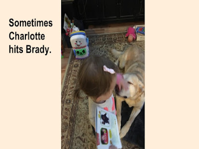 Image of baby grabbing dog's nose with sentence: Sometimes Charlotte hits Brady. 