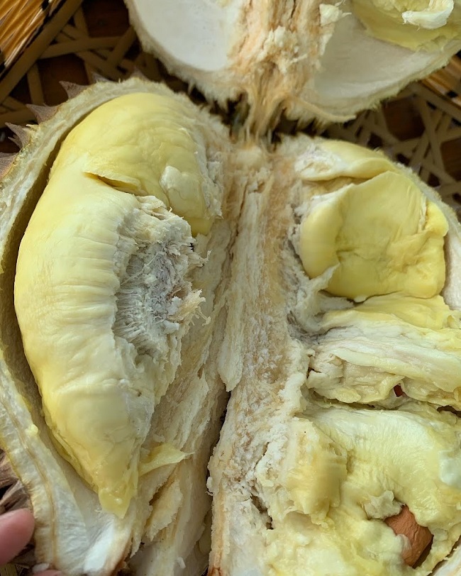 buah durian happy durian malang