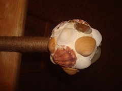 Picture 121