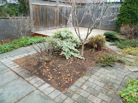 Oakwood Vaughan Toronto Backyard Fall Cleanup After by Paul Jung Gardening Services--a Toronto Gardening Company