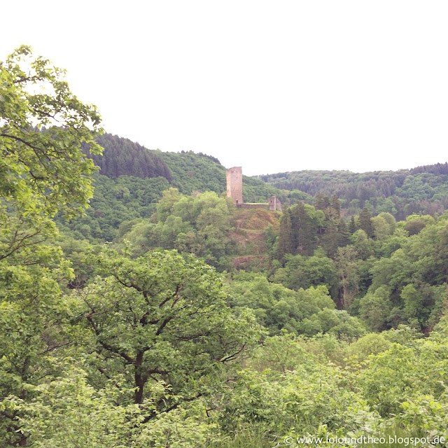 Burgruine im Wald