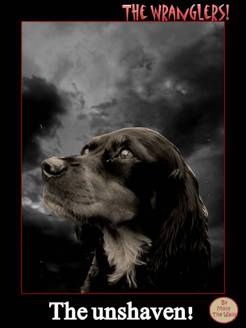 The Raven The Stranglers album cover by Molly The Wally!