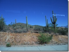 Tucson, Arizona Oct 5-9 2011 2011-10-09 008