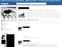 HOW To Post Blank Status Update and a blank comment Facebook
