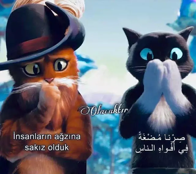 Ağzına Sakız Olmak
