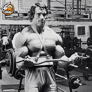 Arnold Schwarzenegger's Bicep Workout