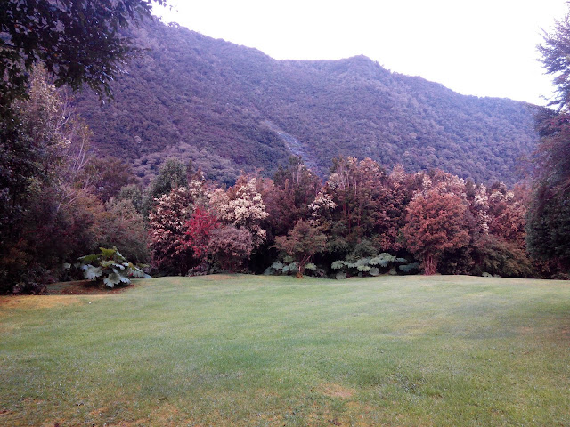 Camping Parque Pumalín, Chile