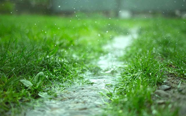 Hujan Buatan: Cara, Waktu dan Manfaat Mengatasi Polusi