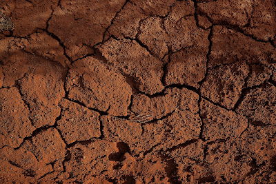 Sandy soil