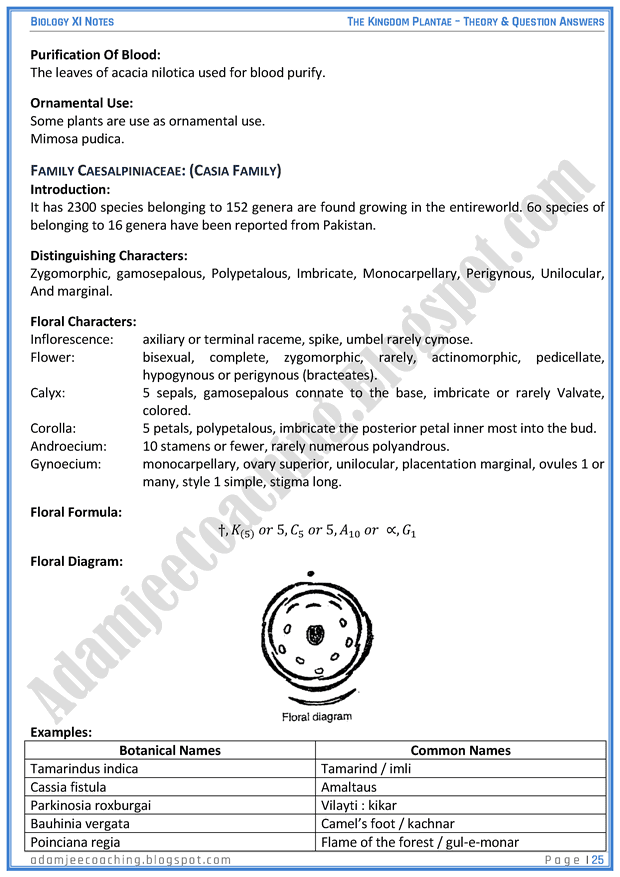 kingdom-plantae-descriptive-question-answers-biology-11th