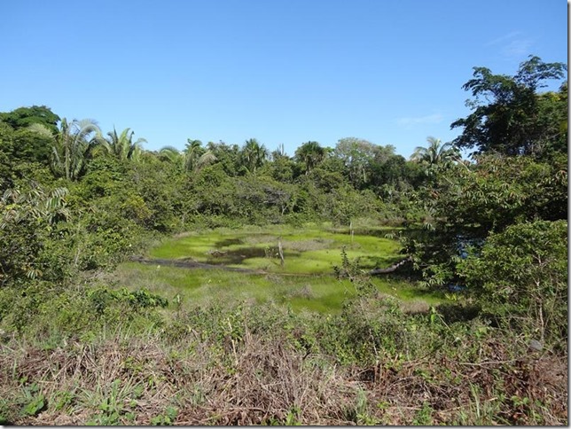 BR-319_Humaita_Manaus_Day_2_DSC05333
