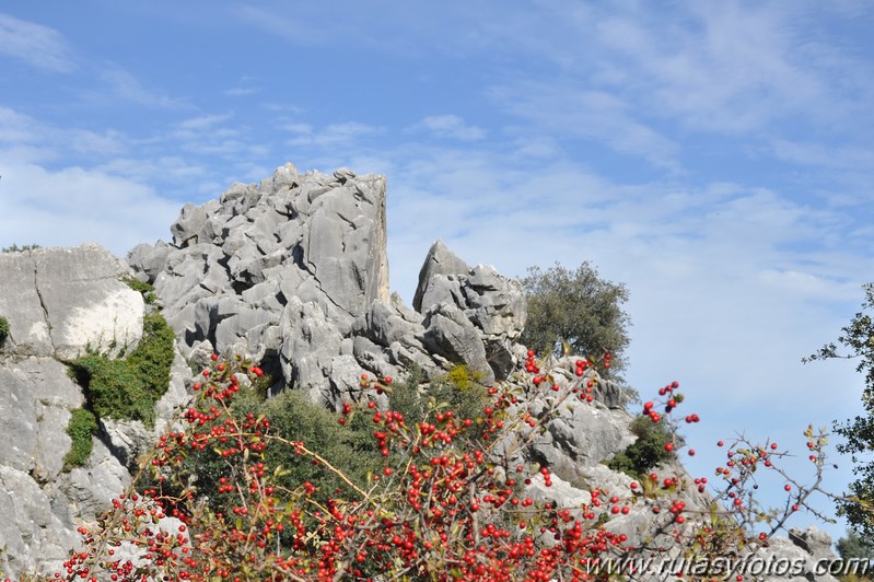 Subida a los Cerros Patagalana y Lajares