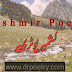 Kashmir Poetry In Urdu 2023 | Kashmir Day Poetry | Dr Poetry