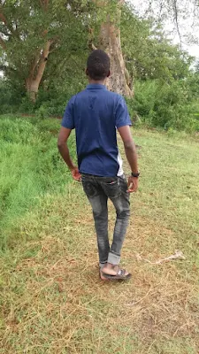 Front has more fruits in life
