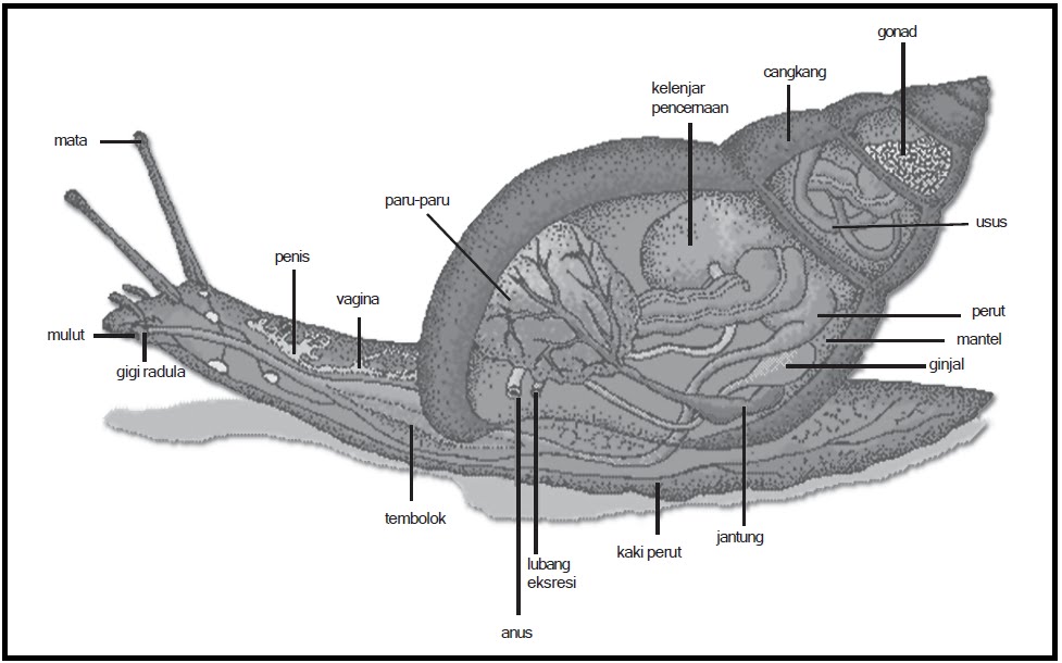  blog Biologi