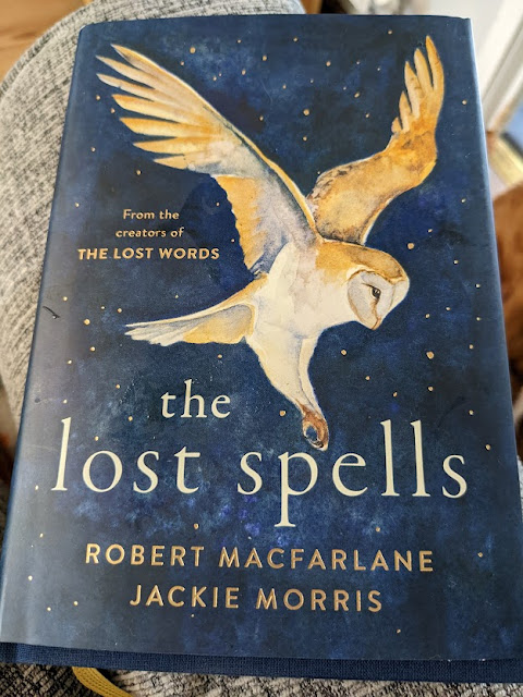 The Lost Spells Book