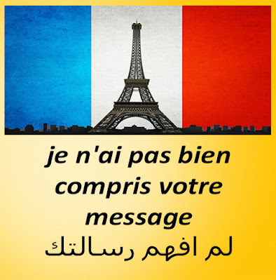 je n'ai pas bien compris votre message لم افهم رسالتك