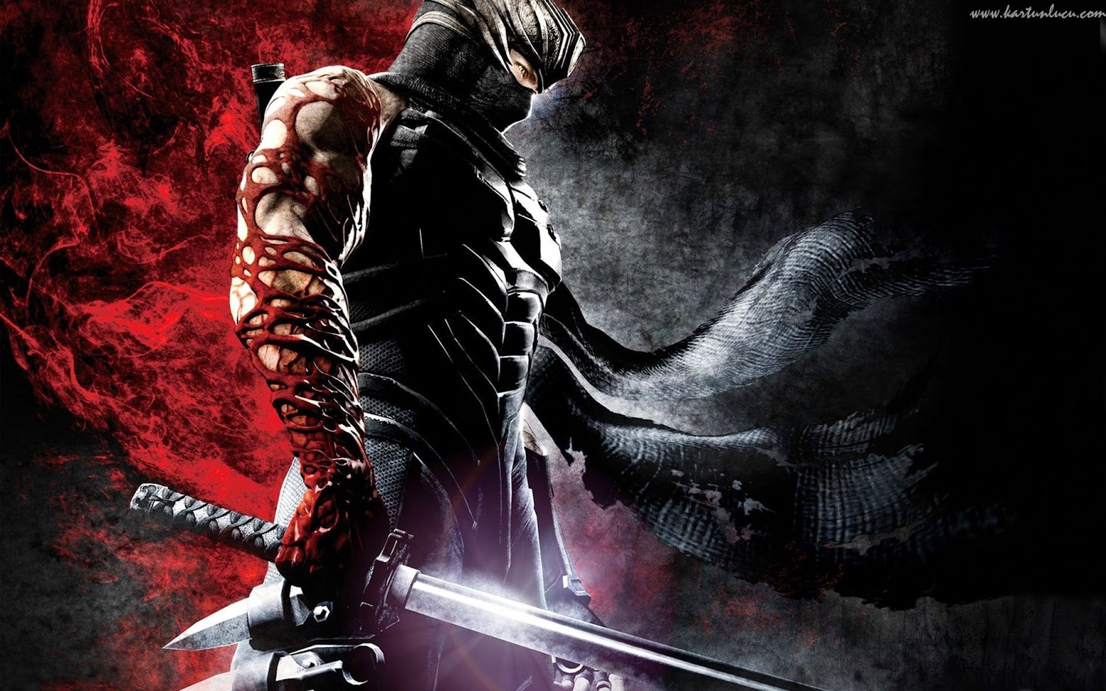 7 WALLPAPER KEREN NINJA GAIDEN Gambar Kartun Lucu Dan Wallpaper