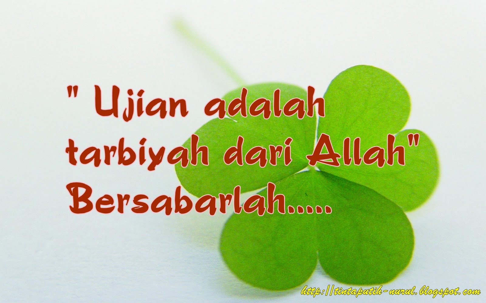 Hidupku Kerana-Mu Ya Allah...: Ujian Dari Allah..(^_^)