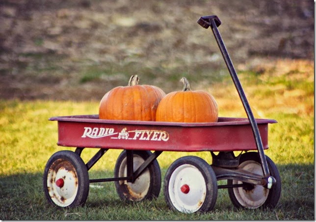 pumpkinradioflyer