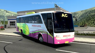 Mod Bus Hino RG Setra Daun ETS2 1.44-1.49