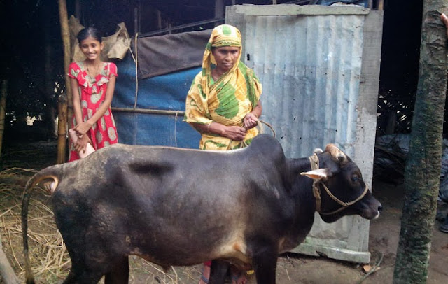 কর্মসংস্থানে পিছিয়ে নেই কৃষক বধূরাও by লিয়াকত হোসেন খোকন