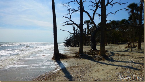 Botany Bay and the Boneyard_030