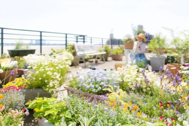 Rooftop Garden Teknologi Ramah Lingkungan Yang Bermanfaat Bagi Kehidupan