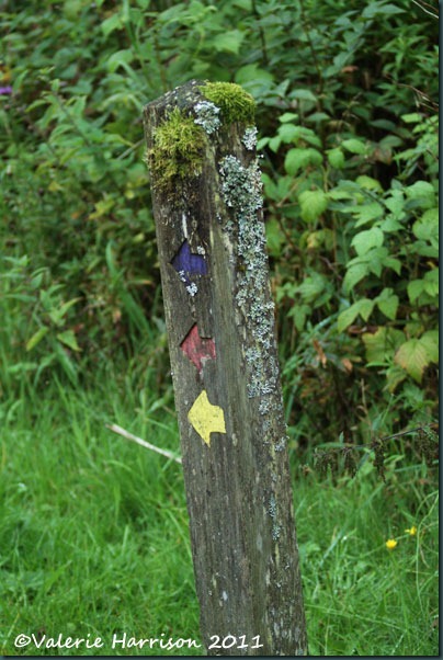 17-footpath-sign