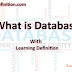 What is database?