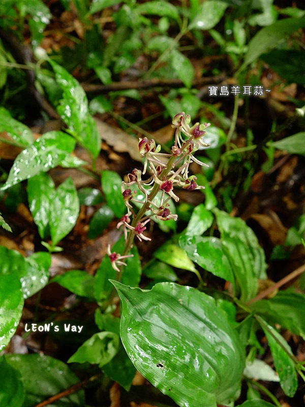 blog_029