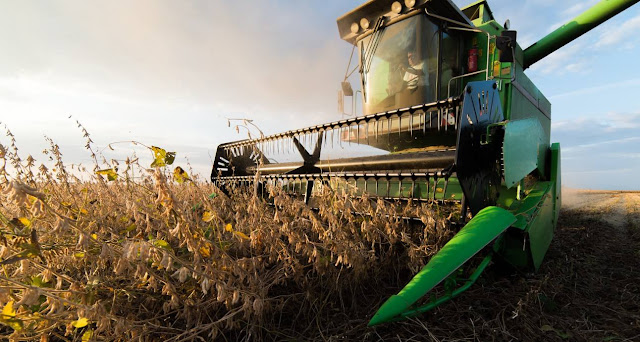 Nordeste lidera no crescimento de exportações do agronegócio