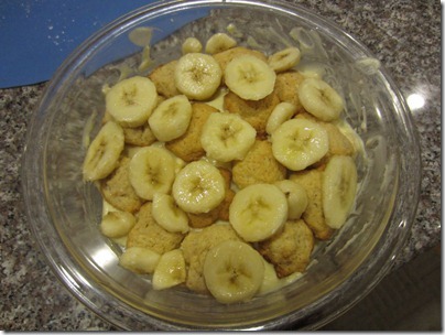 Bananapudding 077