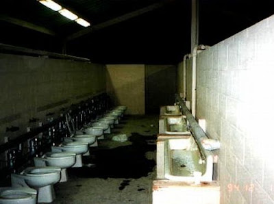 unusual toilets