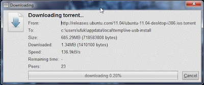 usb den linux kurulumu